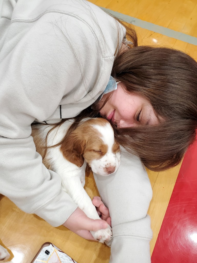 Puppies
