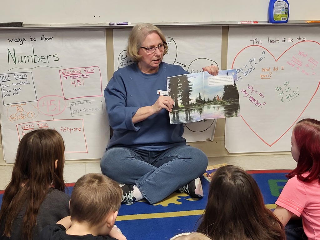 mystery reader